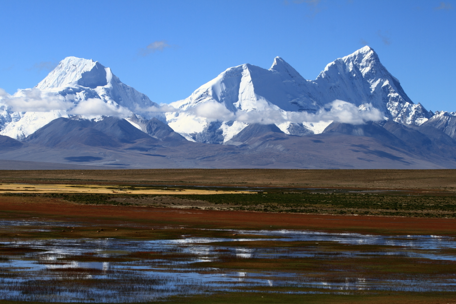 拍摄于西藏自治区日喀则地区亚东县帕里湿地,卓木拉日雪山,多庆湖