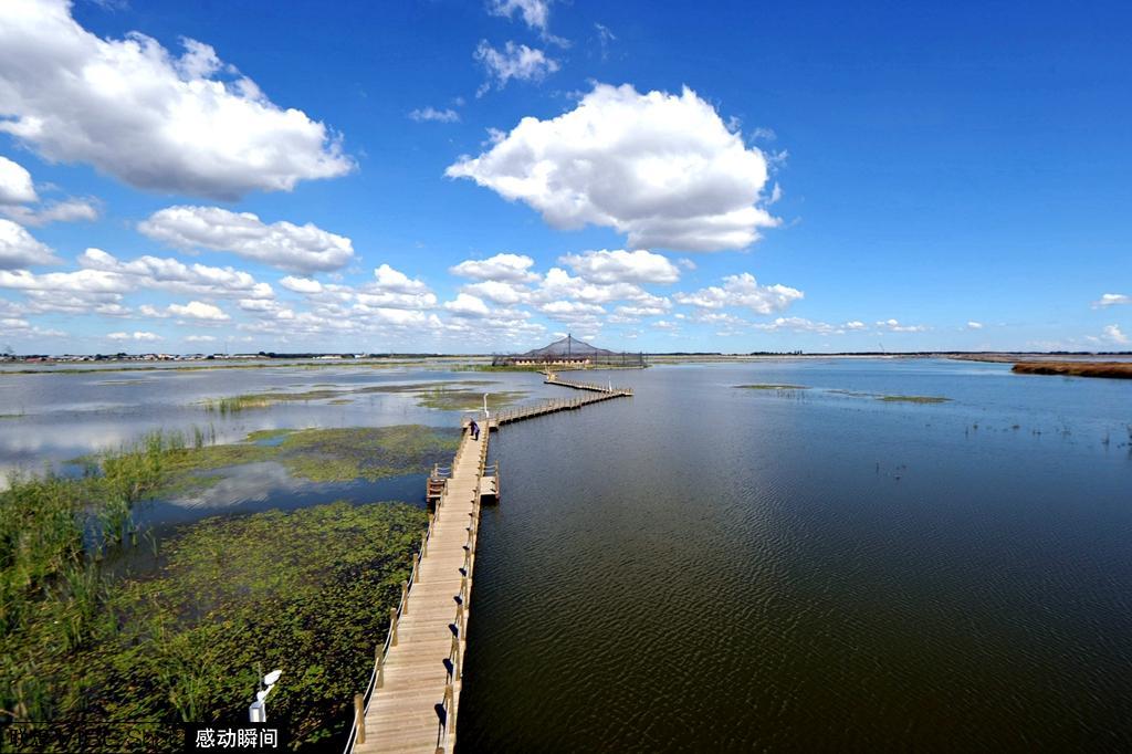 不错的美景:呼兰湿地公园