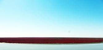 盘锦秋色红海滩